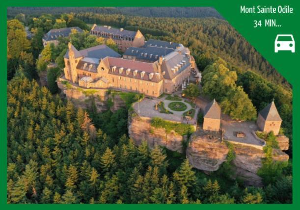 Apartmán Aux Plaisirs D'Alsace Centre Historique Sélestat Exteriér fotografie