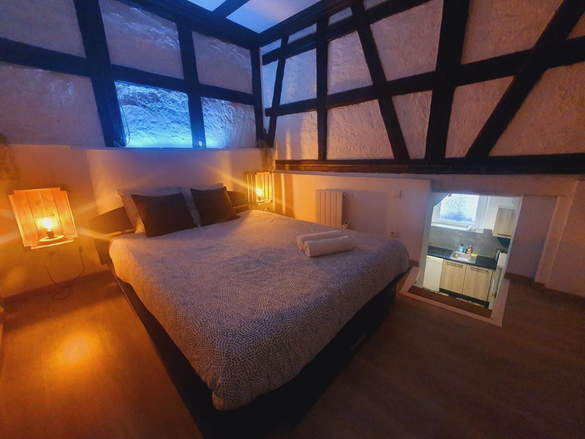 Apartmán Aux Plaisirs D'Alsace Centre Historique Sélestat Exteriér fotografie
